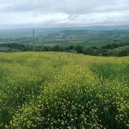 Piane Del Bagno Сатурния