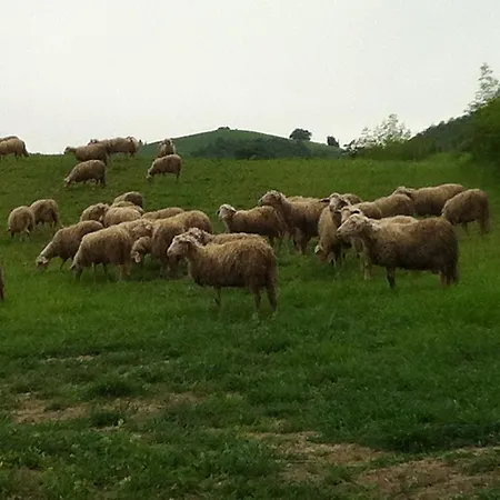 Piane Del Bagno Lantgård *