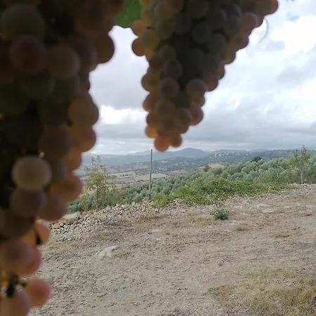 Lantgård Piane Del Bagno *