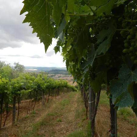 Piane Del Bagno Saturnia