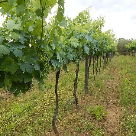 Lantgård Piane Del Bagno