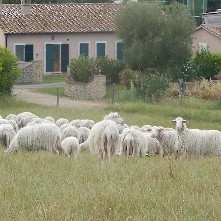 Piane Del Bagno Saturnia
